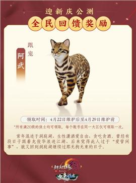 天龙八部私服卓越之剑
